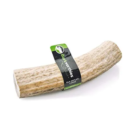 Barkworthies Whole Elk Antler