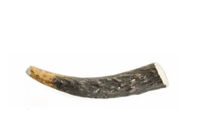 Barkworthies Whole Elk Antler