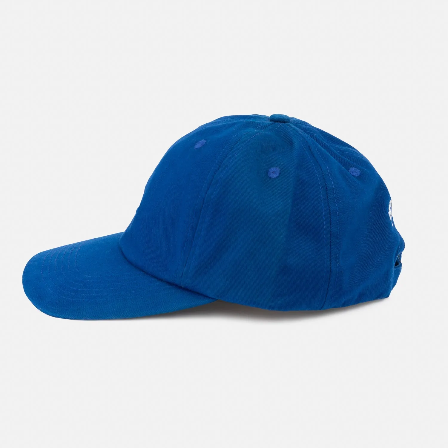 Thunder Dad Cap Blue