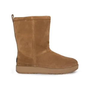 UGG Classic Short Waterproof Chestnut Boots